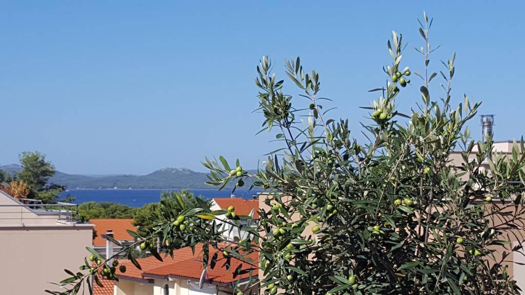 Apartment Garden Terrace Zadar Extérieur photo